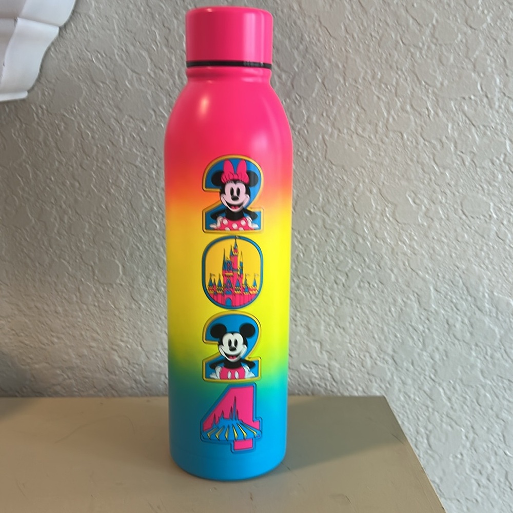 Disney Stainless Steel 20 Oz Water Bottle with Mickey and Minnie 2024.